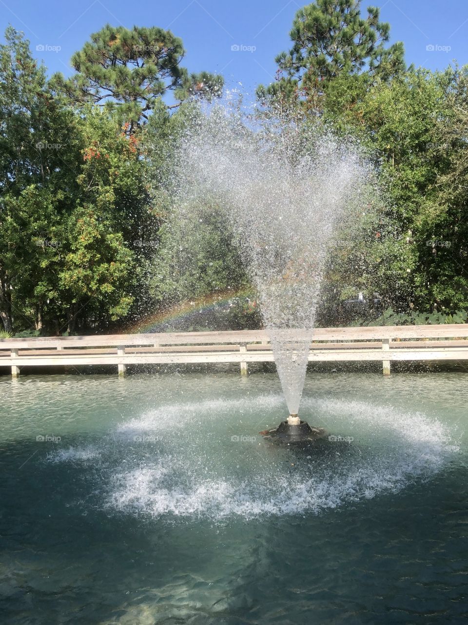 Rainbow in spray of fountain in gardens 