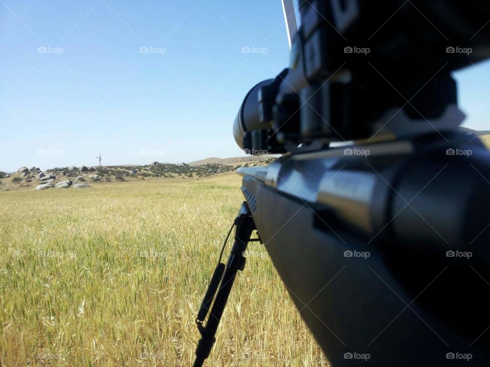 Rifle on the range