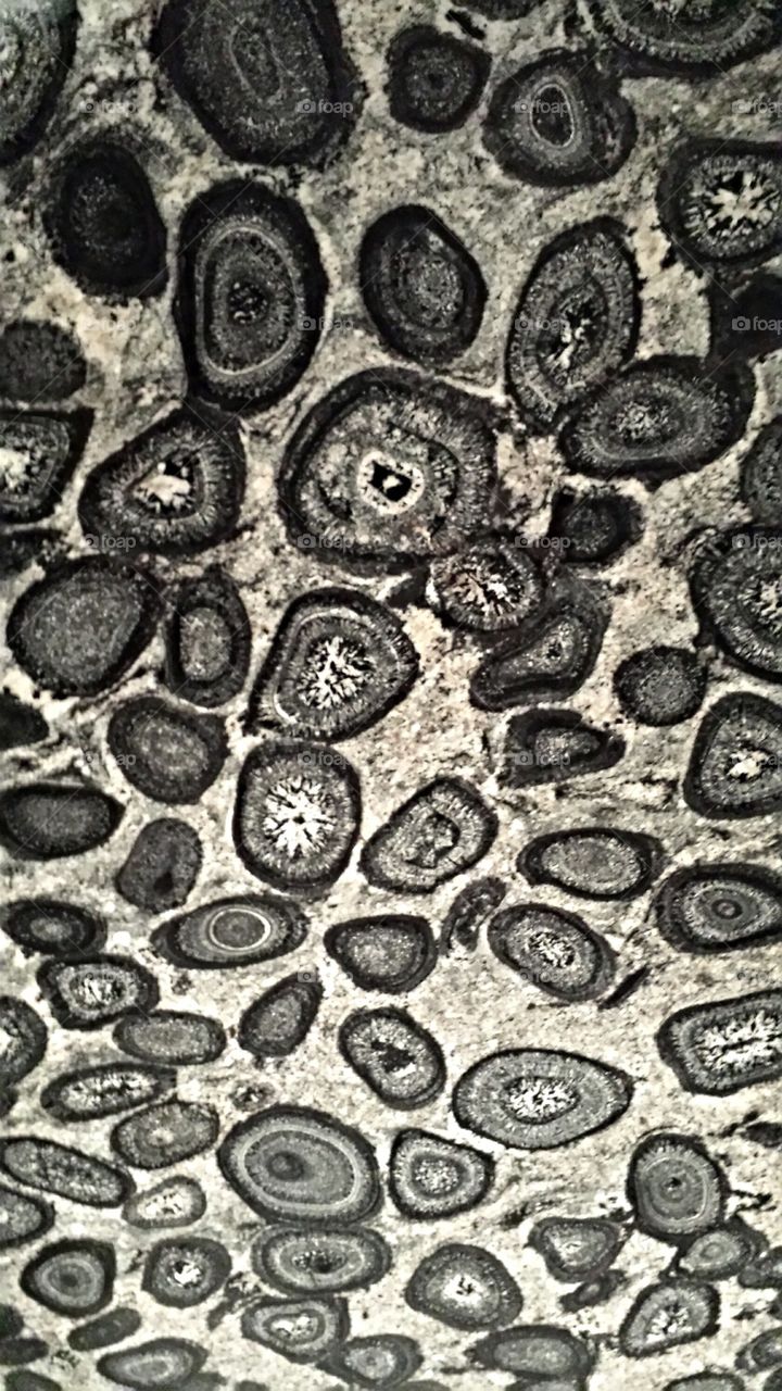 Polished Cut Stone section