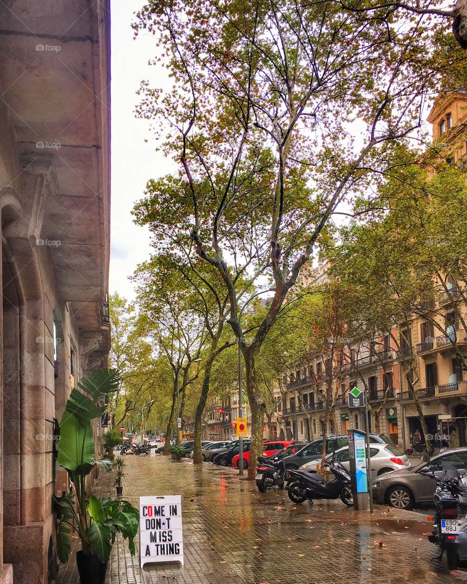 Autumn rain in Barcelona, Spain. 