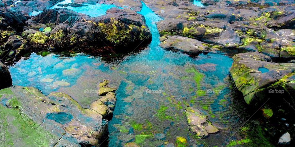 scenic tidepool