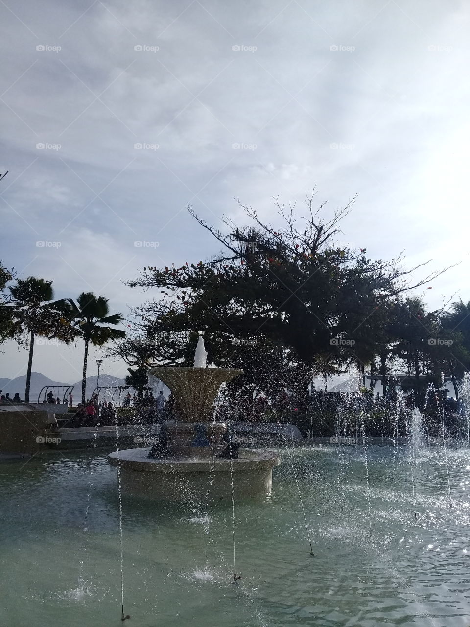 Uma paisagem muito bacana: a praça do Sapo, em Santos, com sua beleza litorânea.