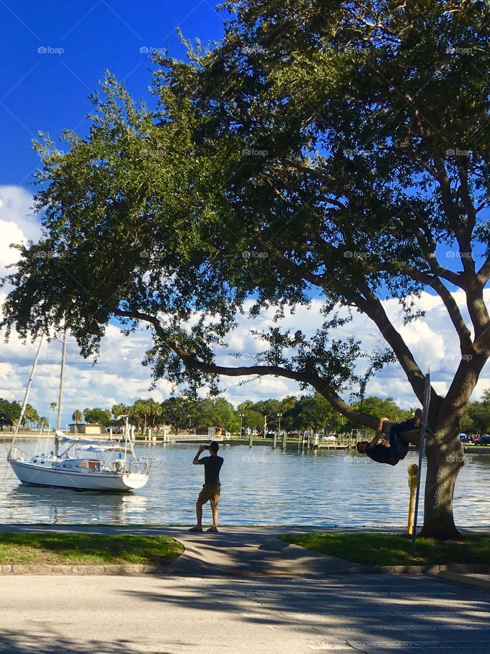 Hanging in a tree while a friend take a pic of a sailboat. 