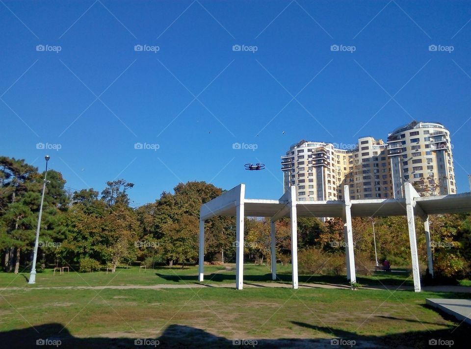 flying drones in the park полёт дрона в парке