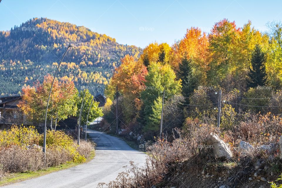 Beauty along the way of Georgia trip