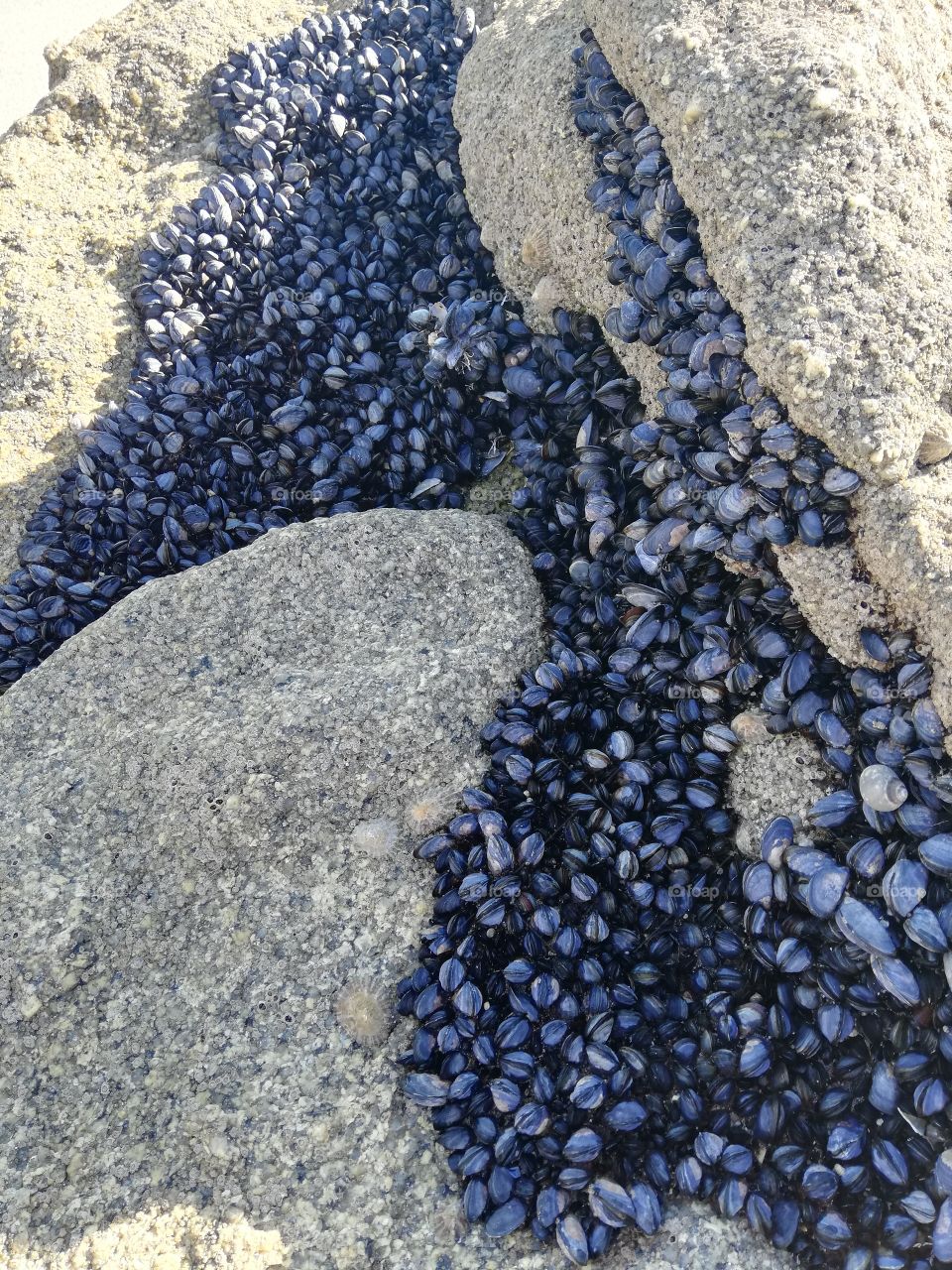 Rocher et plage bretonne