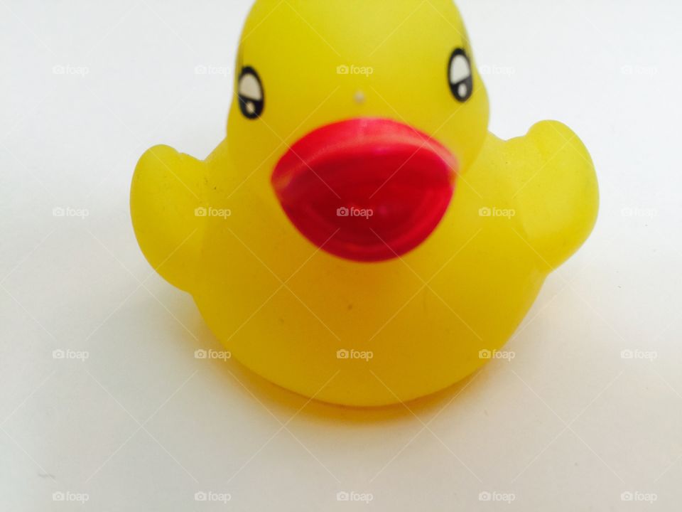 My duck