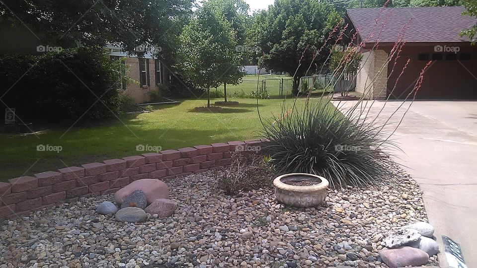 desert scene. this rock garden is a southwest style