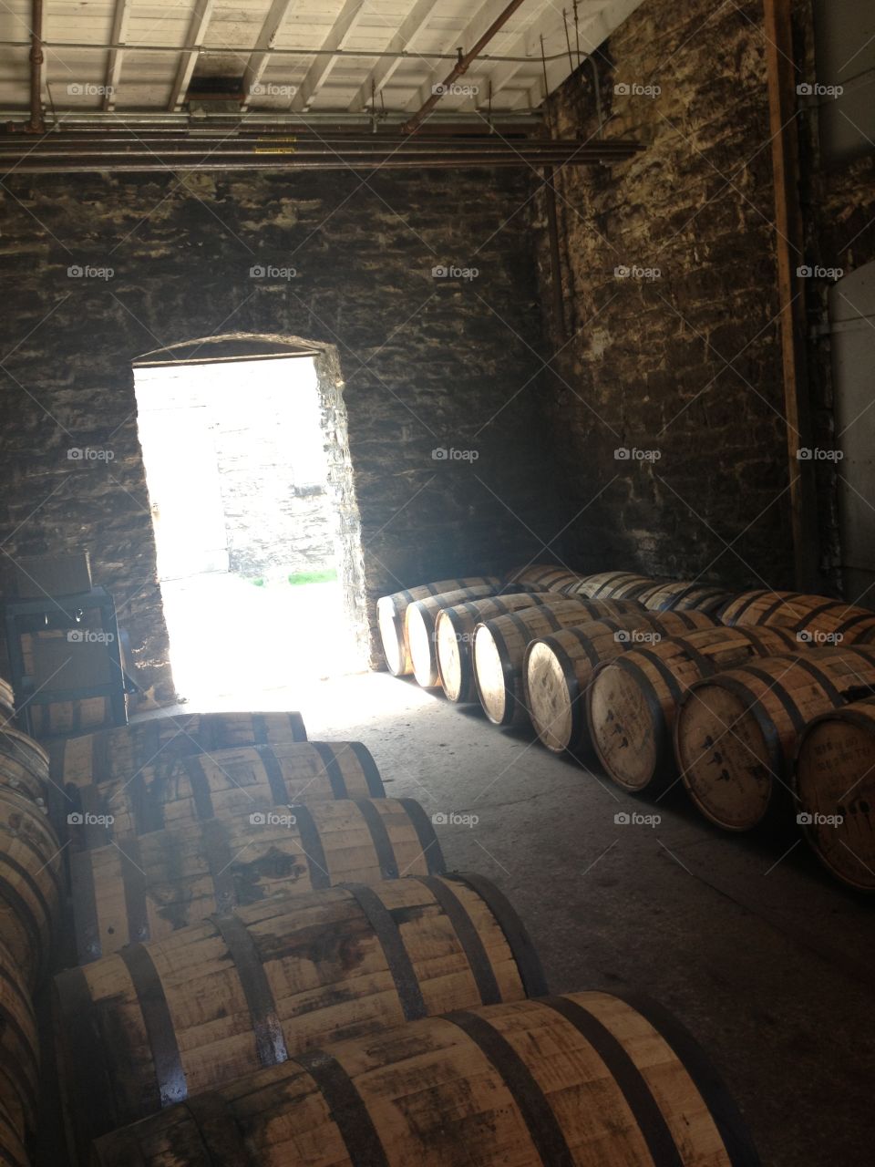 Bourbon Barrels in sunlight 