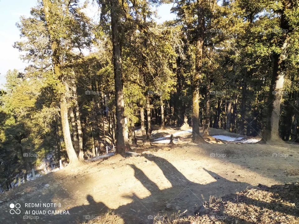 some shadow gives you the best memories.