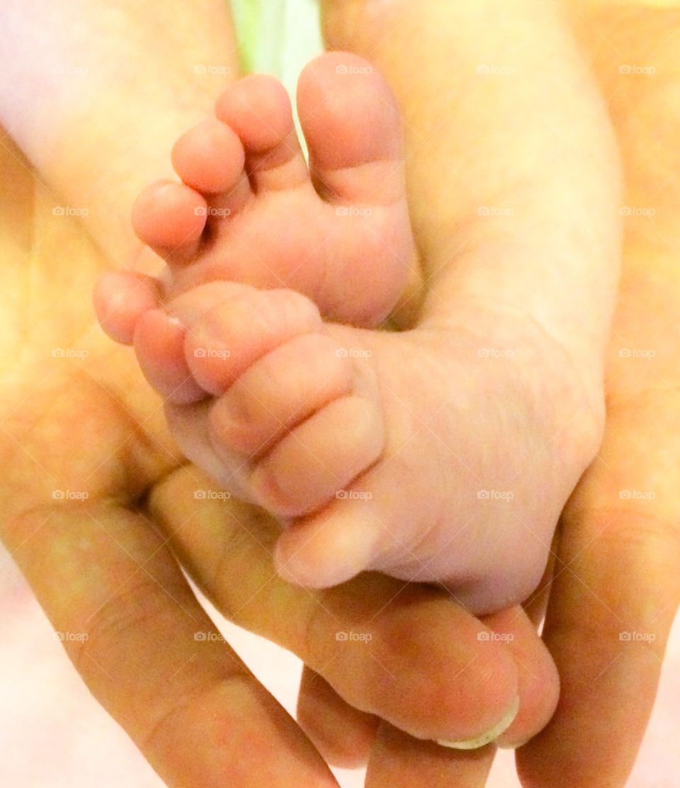 Babies feet in mothers hands 
