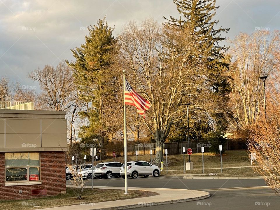 Flags of USA