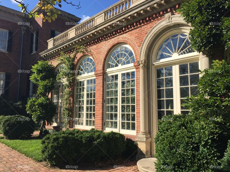 British window design