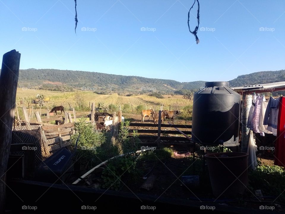 hermosa vista por la mañana