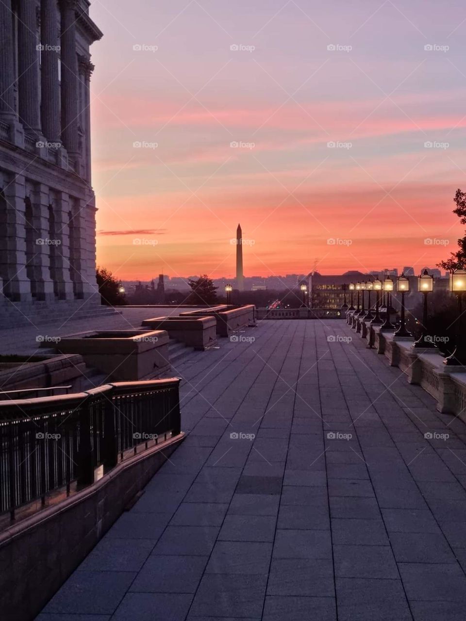 Etats Unis d Amérique