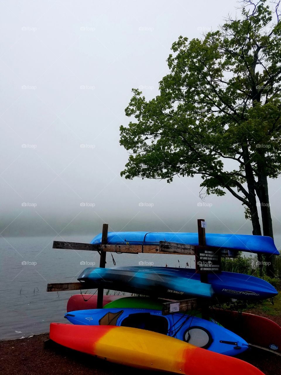 colorful rack of kayaks in thick lake fog