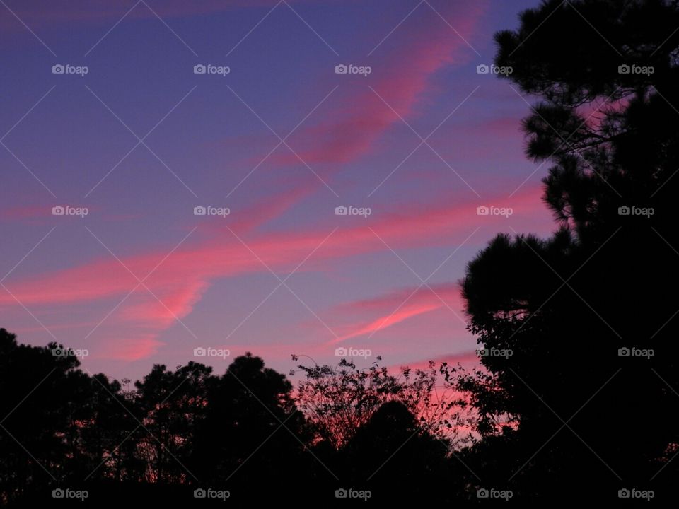 God's brush strokes across the canvas sky.