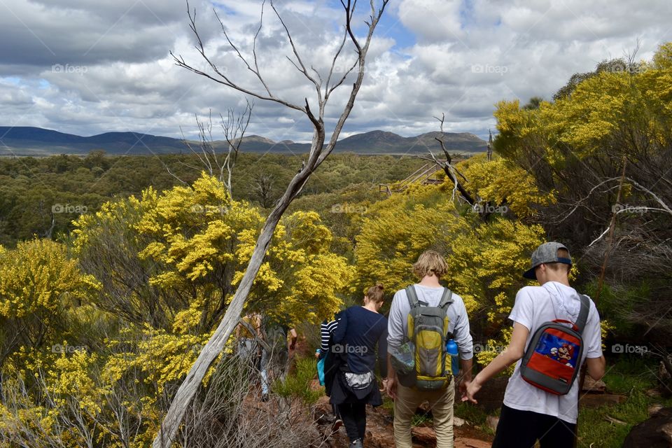 Family group of backpackers traversing down a mountain in the Flinders mountain Ranges of south Australia, scenic view of outback