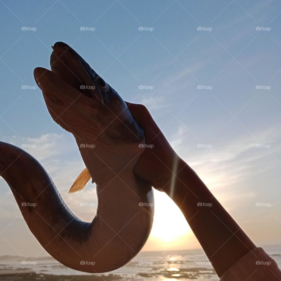 big fish holding by hands and embracing sunset.