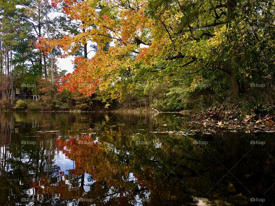 Reflections at Yates Mill Pond 