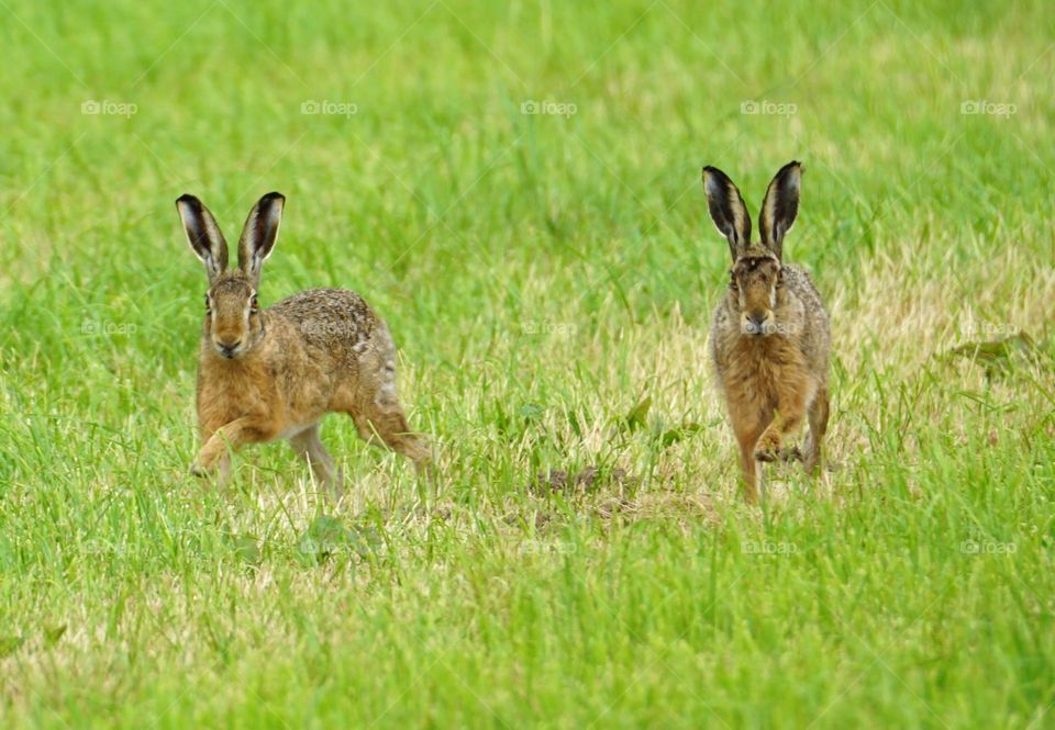 Oh stop, someone making a picture