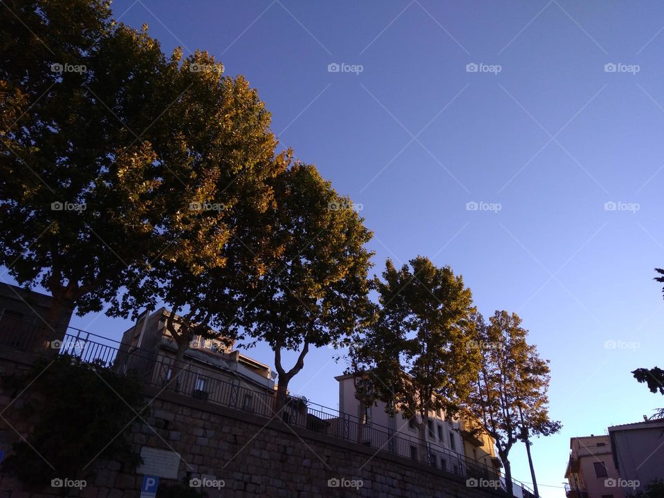 Editors' Choice: Photo of the Week