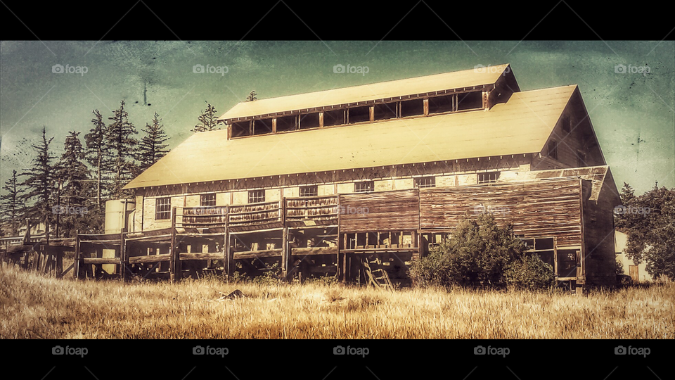 Beef, it's what's for dinner