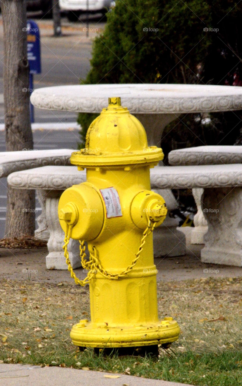Mini Park hydrant