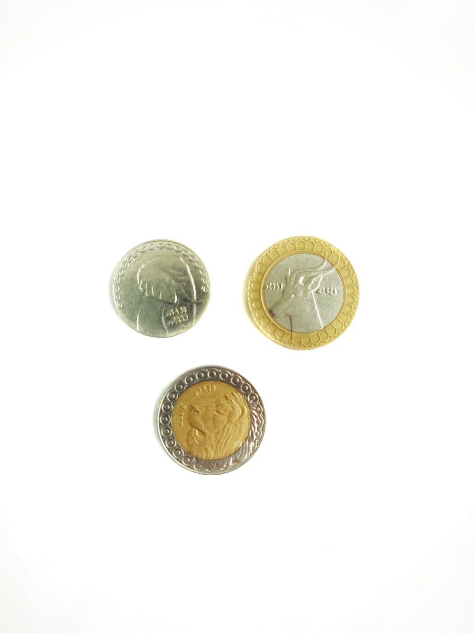 Isolated Algerian Currency _yellow and grey colors $$