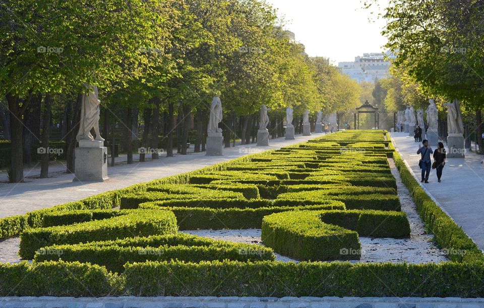 Buen Retiro Park, Madrid.