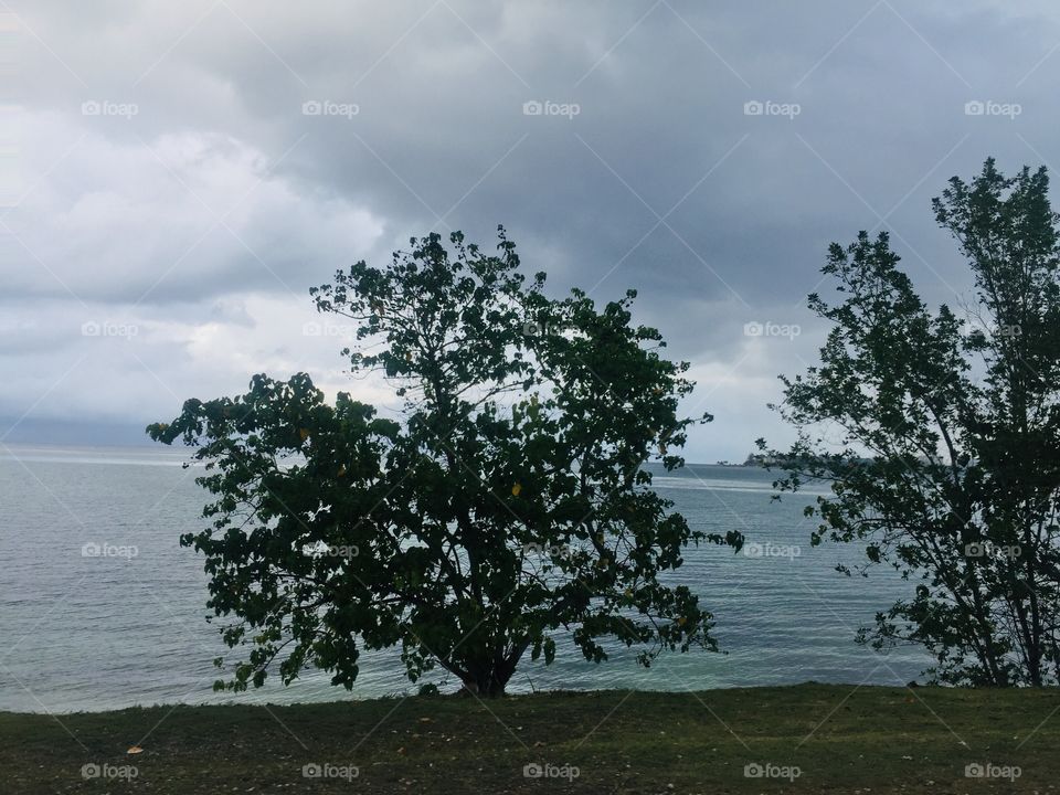 Passing by the still waters