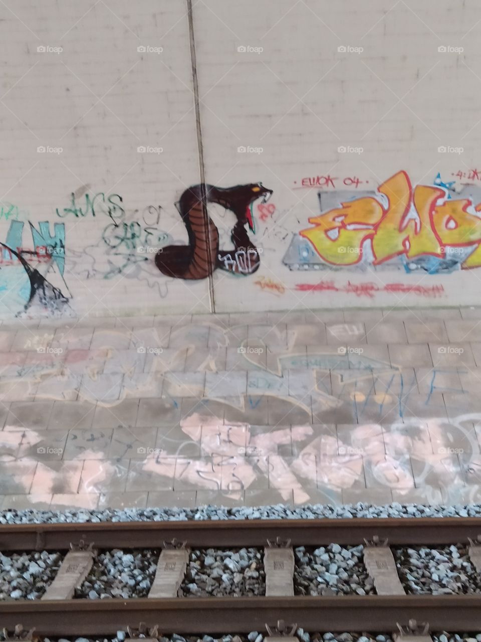 snake Graffiti