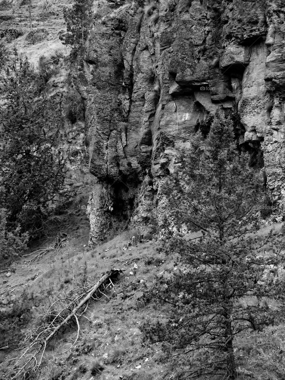 Black & White geology in Oregon 