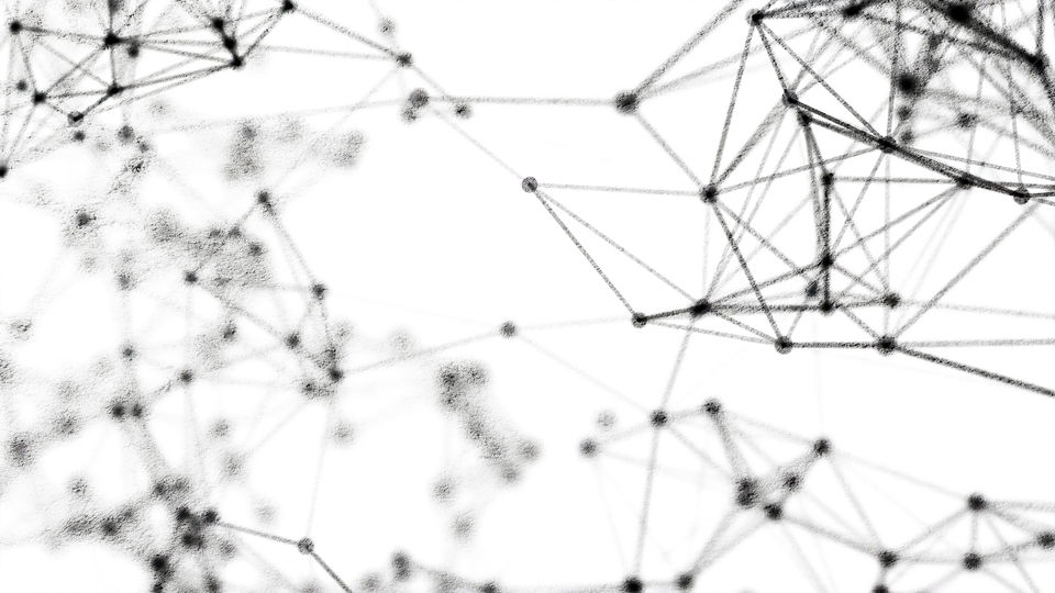 Wire, No Person, Spiderweb, Spider, Net