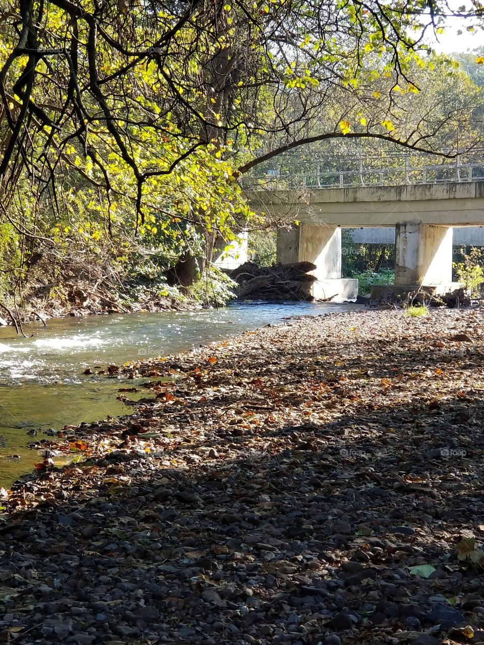 river under the train bridge