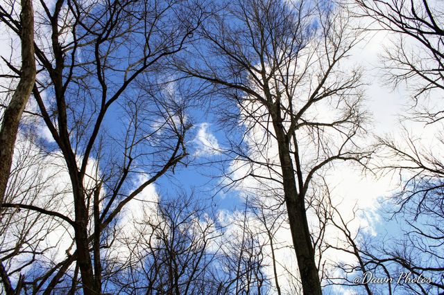 clear blue skies