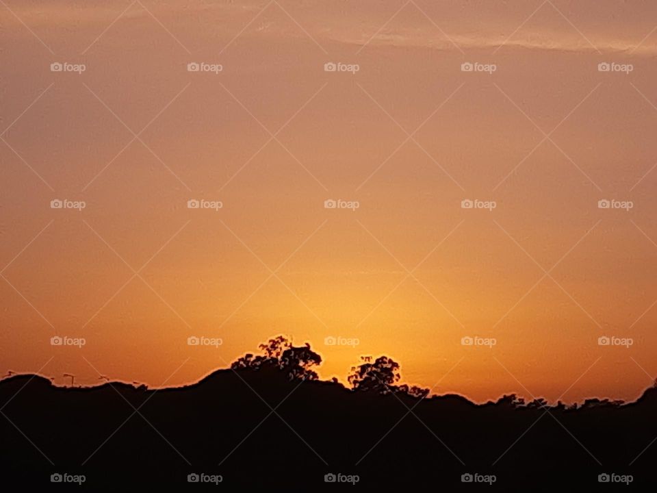 Nature's magic touch