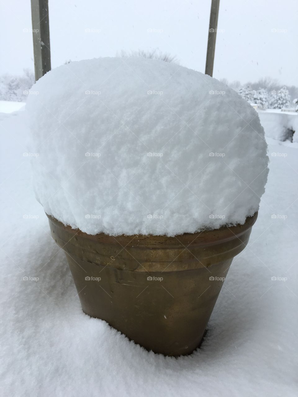 Pot of Snow