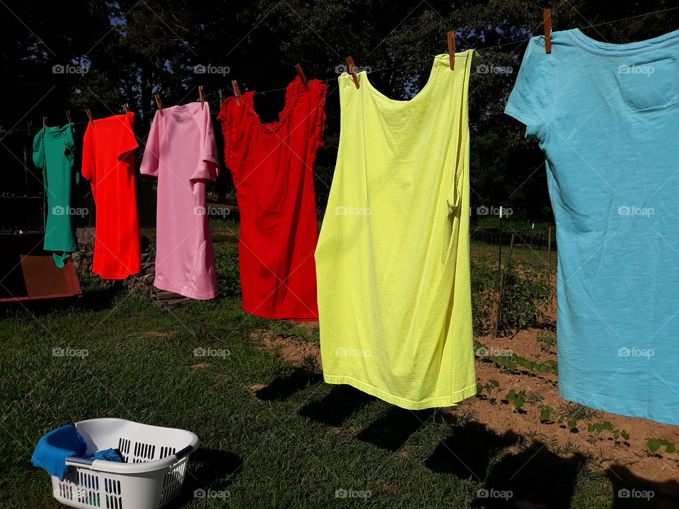 It's summertime! Clothes on the line and garden planted