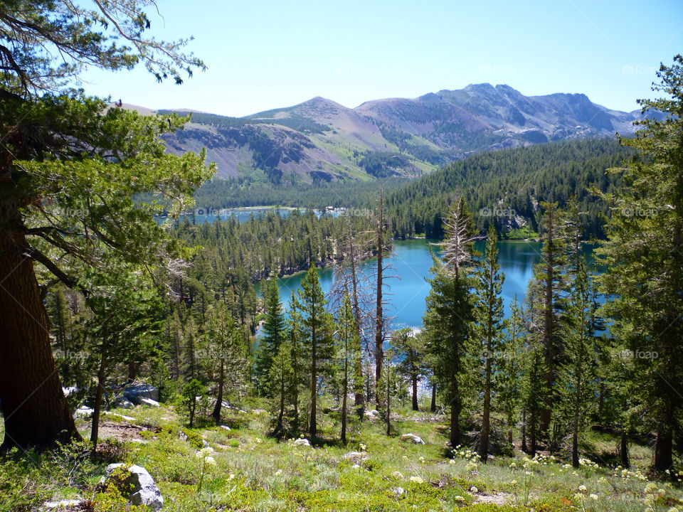 mountain trees lakes by kenglund