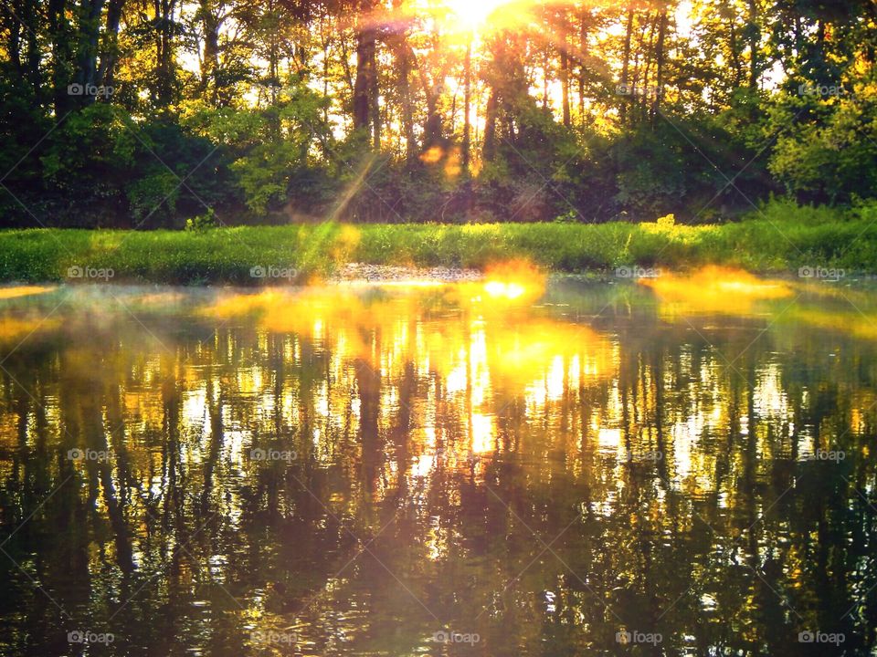 Beautiful morning view