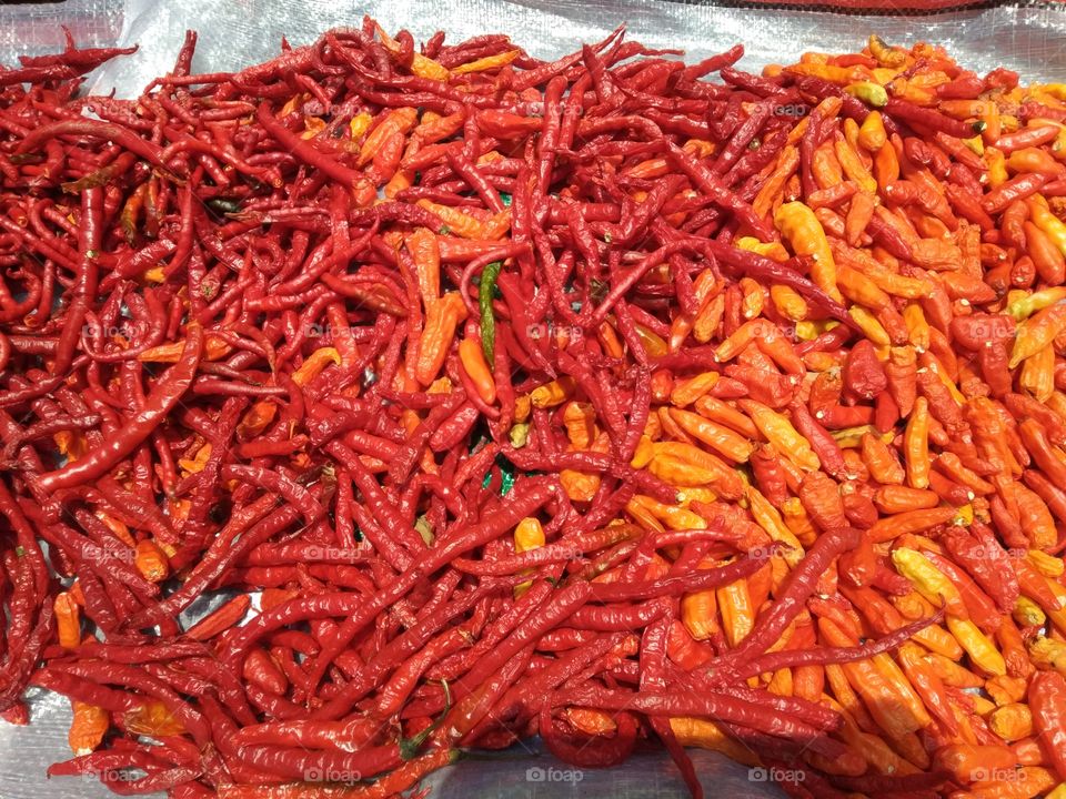 chilies dried in the sun