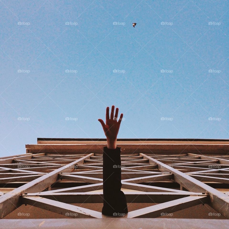 Low view of a building