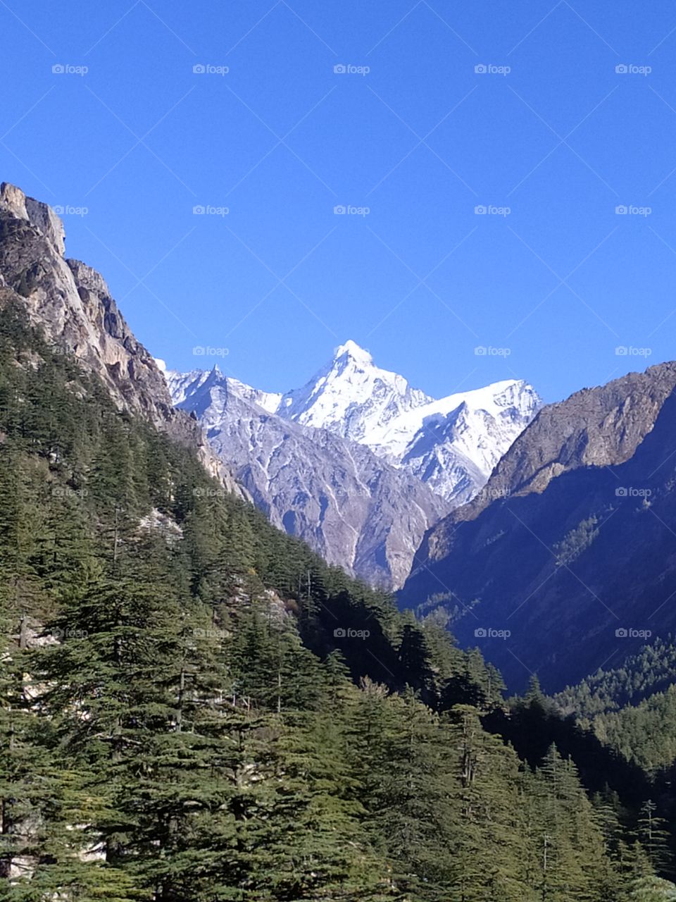 Wonderful view of snow capped mountains en route to Gangotri in the great Himalayas