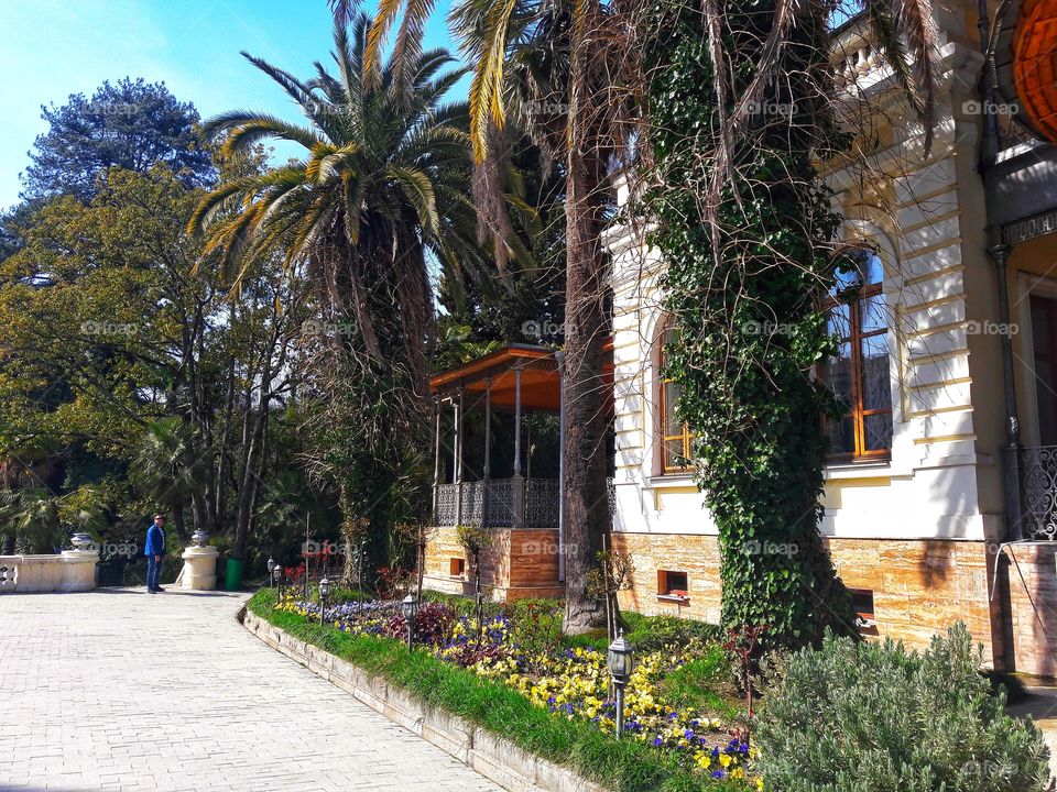 Tree, Architecture, Building, No Person, Travel