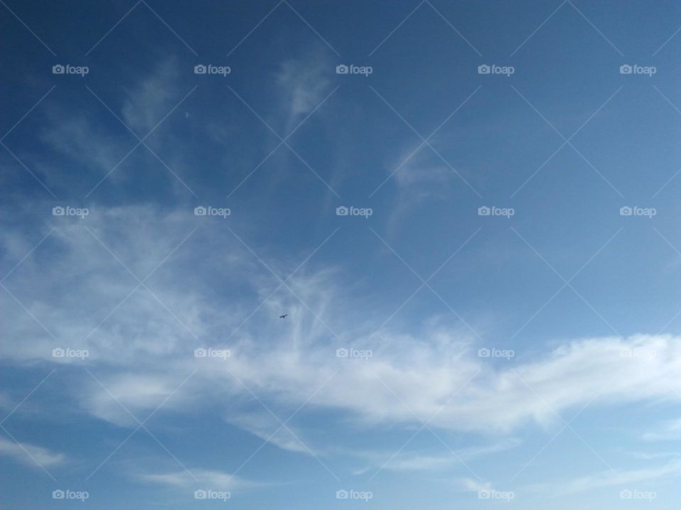 Two pigeons flying cross the sky