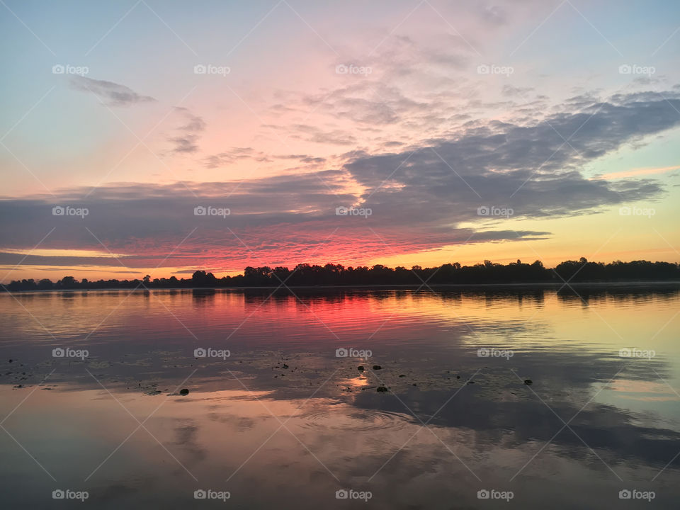 beautiful reflection in the water