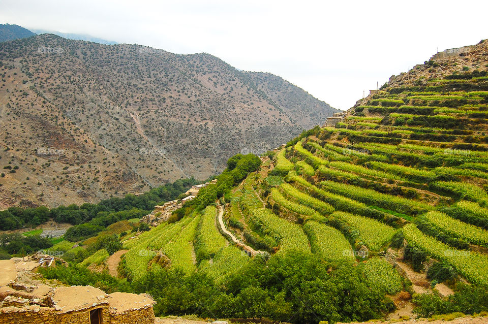 Terrace farming in Morocco. Landscape during trek in High Atlas, Morocco