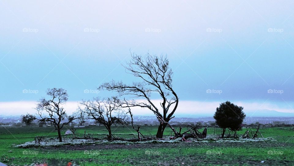 countryside : cold autumn day.