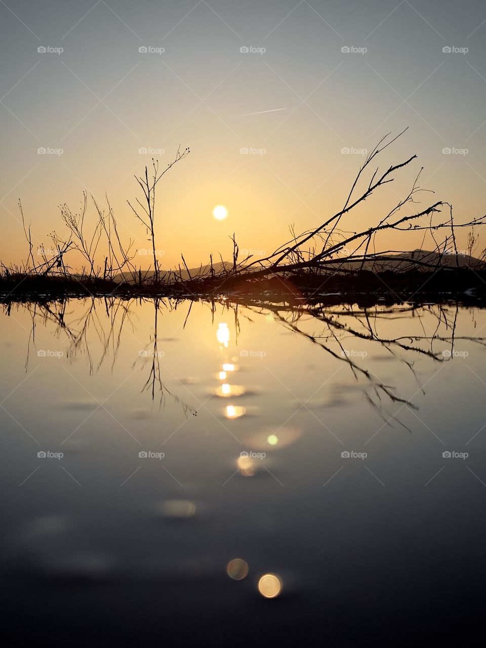reflection of the sun in a puddle